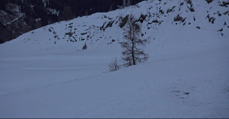 Webcam San Martino di Castrozza - Passo Rolle - Pista Tognola UNO