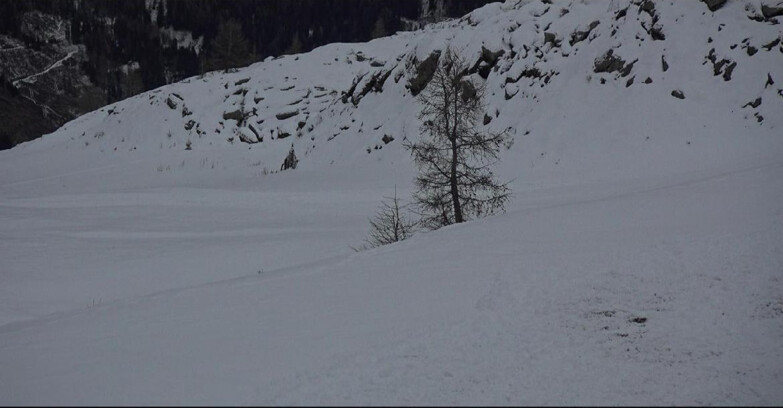 Webcam San Martino di Castrozza - Passo Rolle - Pista Tognola UNO