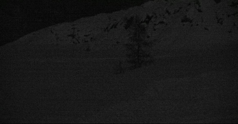 Webcam San Martino di Castrozza - Passo Rolle - Pista Tognola UNO
