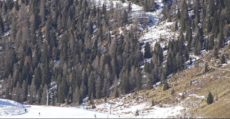 Webcam San Martino di Castrozza - Passo Rolle  - Tognola - Piste Scandola