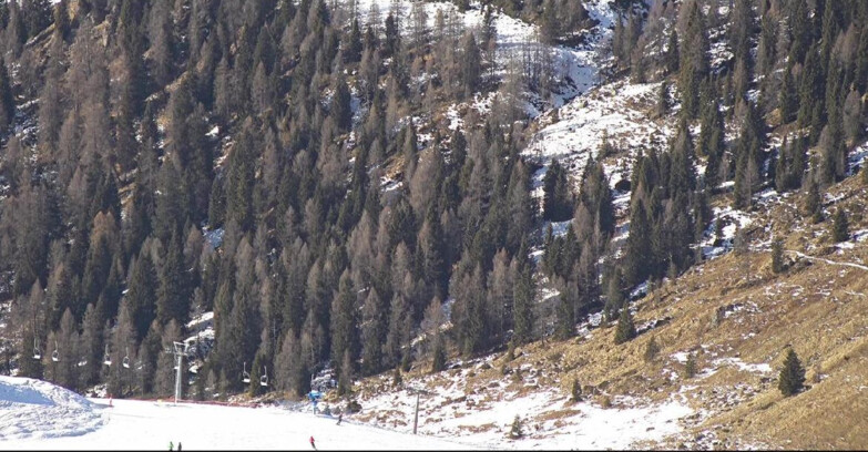 Webcam San Martino di Castrozza - Passo Rolle  - Tognola - Piste Scandola