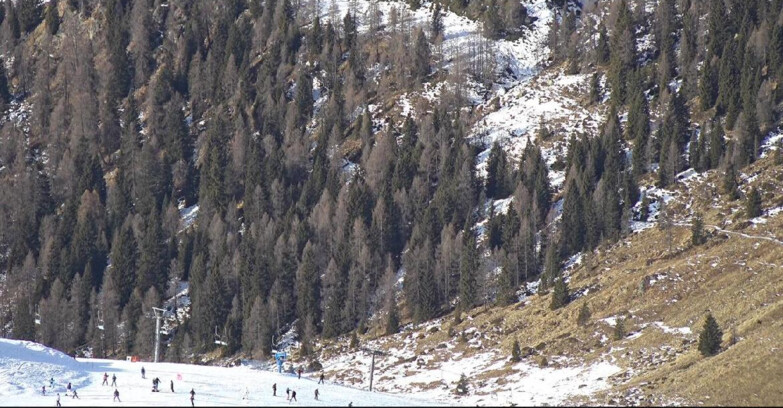 Webcam San Martino di Castrozza - Passo Rolle  - Tognola - Piste Scandola