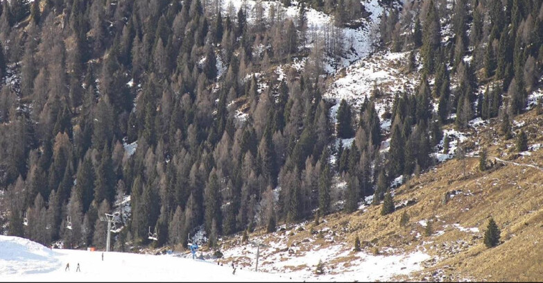 Webcam San Martino di Castrozza - Passo Rolle  - Tognola - Piste Scandola