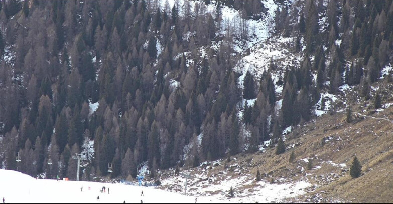 Webcam San Martino di Castrozza - Passo Rolle  - Tognola - Piste Scandola