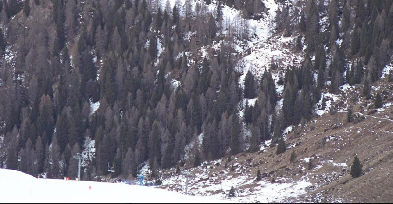 Webcam San Martino di Castrozza - Passo Rolle  - Tognola - Piste Scandola