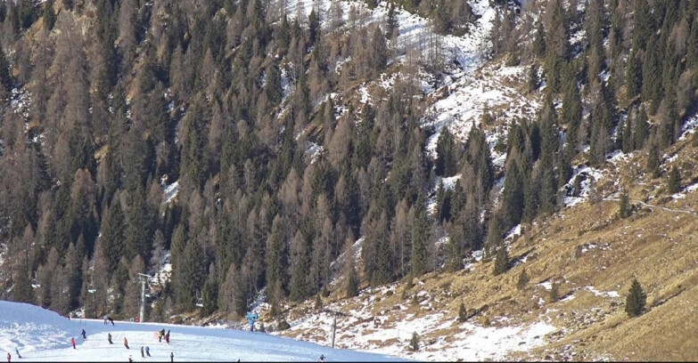 Webcam San Martino di Castrozza - Passo Rolle - Tognola - Pista Scandola