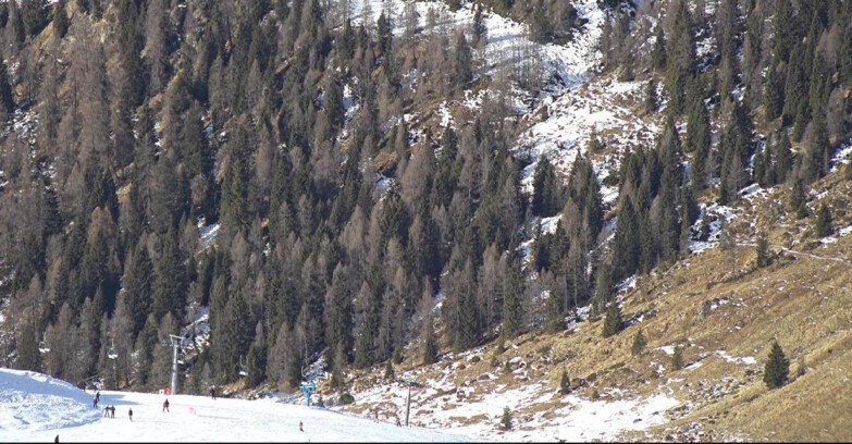 Webcam San Martino di Castrozza - Passo Rolle - Tognola - Pista Scandola