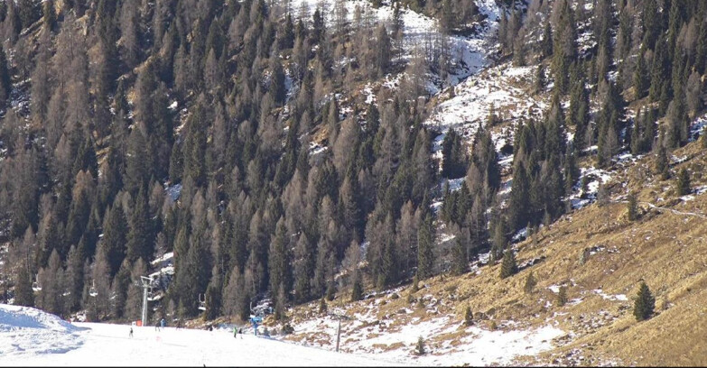 Webcam San Martino di Castrozza - Passo Rolle - Tognola - Pista Scandola