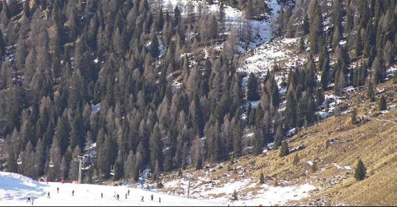 Webcam San Martino di Castrozza - Passo Rolle - Tognola - Pista Scandola