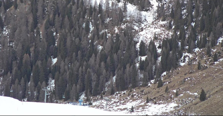Webcam San Martino di Castrozza - Passo Rolle - Tognola - Pista Scandola