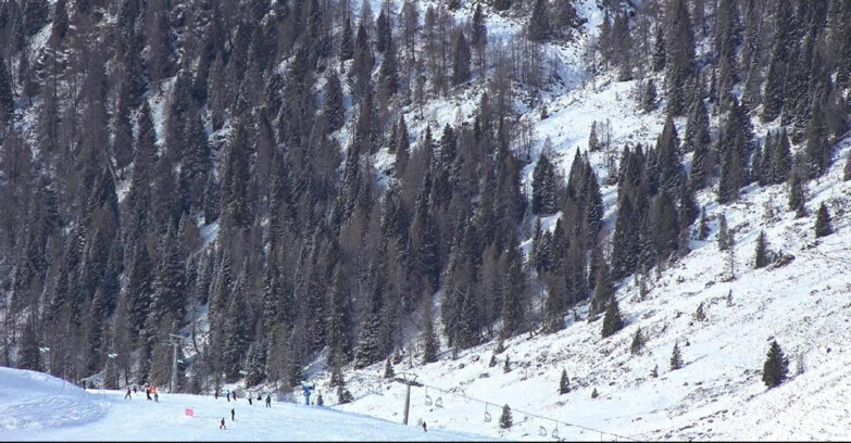 Webcam Сан-Мартино-ди-Кастроцца - Пассо-Ролле - Tognola - Piste Scandola