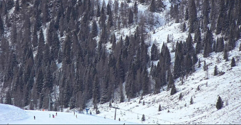 Webcam Сан-Мартино-ди-Кастроцца - Пассо-Ролле - Tognola - Piste Scandola