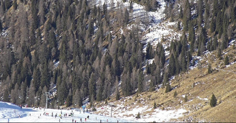 Webcam San Martino di Castrozza - Passo Rolle - Tognola - Piste Scandola