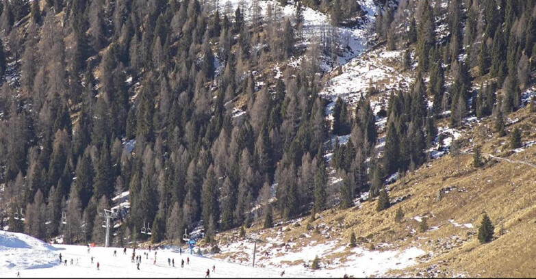 Webcam San Martino di Castrozza - Passo Rolle - Tognola - Piste Scandola