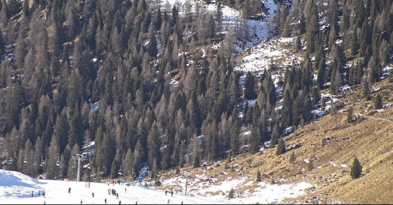 Webcam San Martino di Castrozza - Passo Rolle - Tognola - Piste Scandola