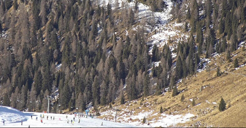 Webcam San Martino di Castrozza - Passo Rolle  - Tognola - Piste Scandola