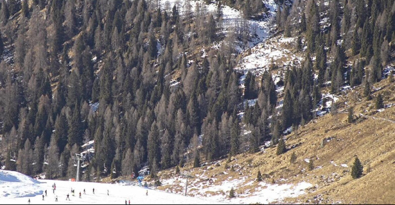 Webcam San Martino di Castrozza - Passo Rolle  - Tognola - Piste Scandola