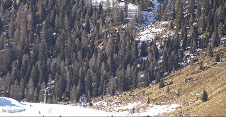 Webcam San Martino di Castrozza - Passo Rolle  - Tognola - Piste Scandola