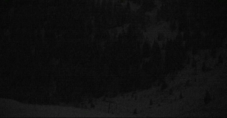 Webcam San Martino di Castrozza - Passo Rolle - Tognola - Pista Scandola