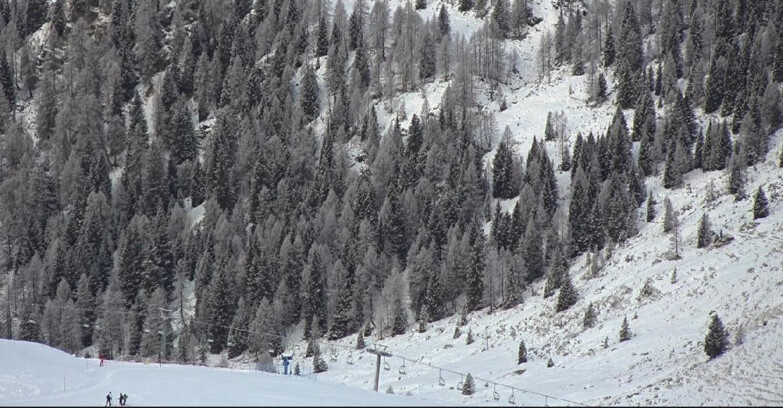 Webcam San Martino di Castrozza - Passo Rolle - Tognola - Pista Scandola
