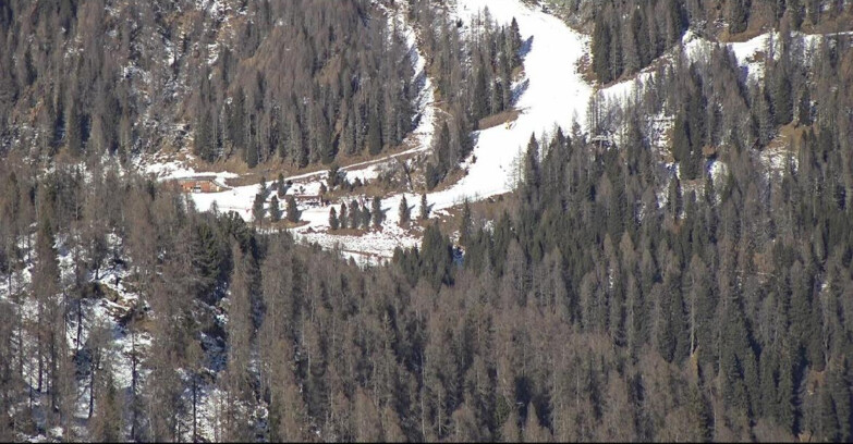 Webcam San Martino di Castrozza - Passo Rolle - Ces - Malga Valcigolera