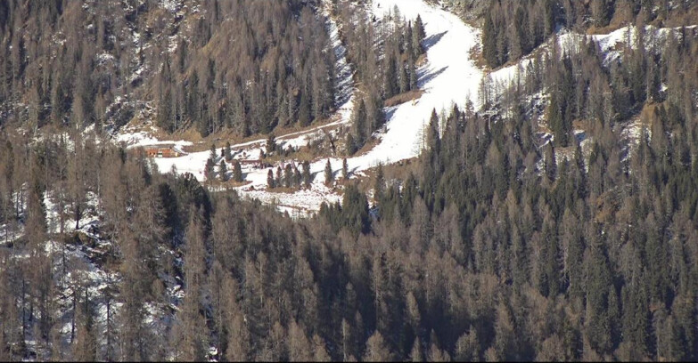 Webcam San Martino di Castrozza - Passo Rolle - Ces - Malga Valcigolera