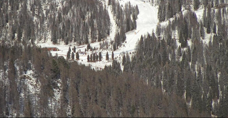 Webcam Сан-Мартино-ди-Кастроцца - Пассо-Ролле - Ces - Malga Valcigolera