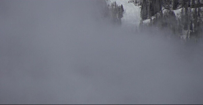 Webcam Сан-Мартино-ди-Кастроцца - Пассо-Ролле - Ces - Malga Valcigolera