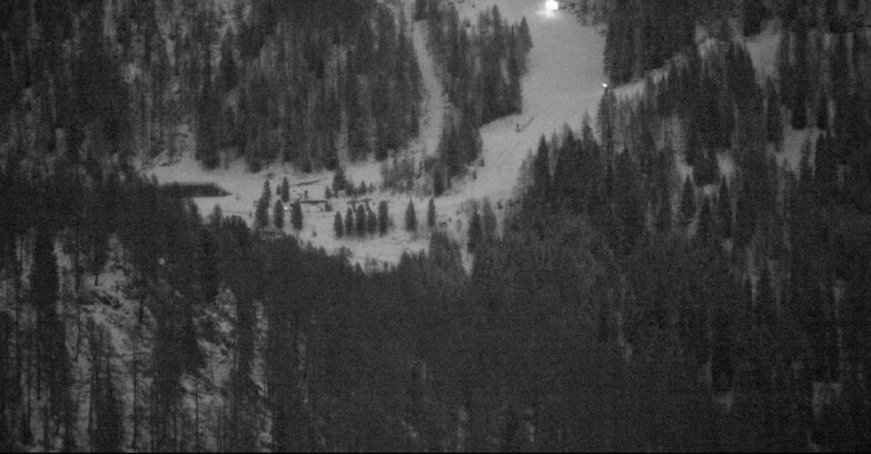 Webcam Сан-Мартино-ди-Кастроцца - Пассо-Ролле - Ces - Malga Valcigolera