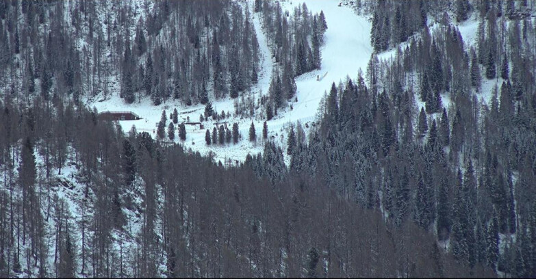 Webcam Сан-Мартино-ди-Кастроцца - Пассо-Ролле - Ces - Malga Valcigolera