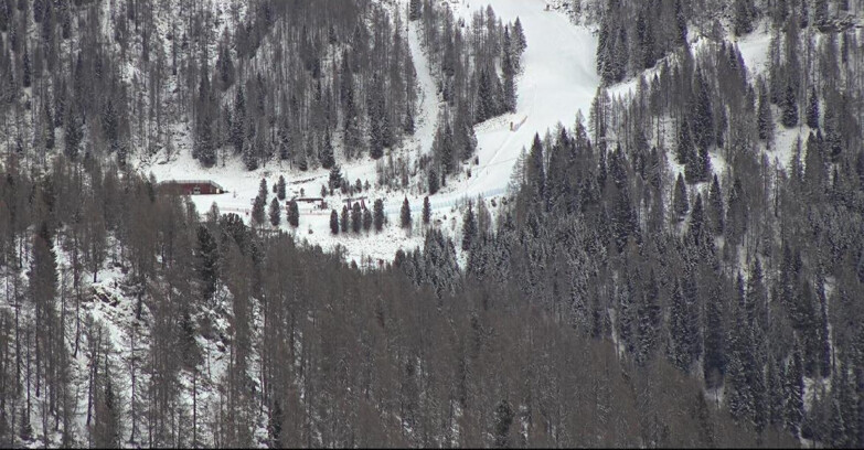 Webcam Сан-Мартино-ди-Кастроцца - Пассо-Ролле - Ces - Malga Valcigolera