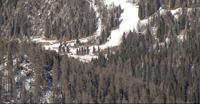 Webcam San Martino di Castrozza - Passo Rolle - Ces - Malga Valcigolera