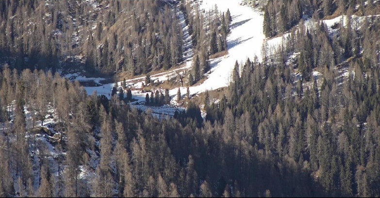 Webcam San Martino di Castrozza - Passo Rolle - Ces - Malga Valcigolera