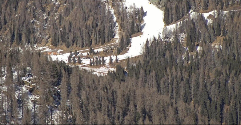 Webcam San Martino di Castrozza - Passo Rolle  - Ces - Malga Valcigolera