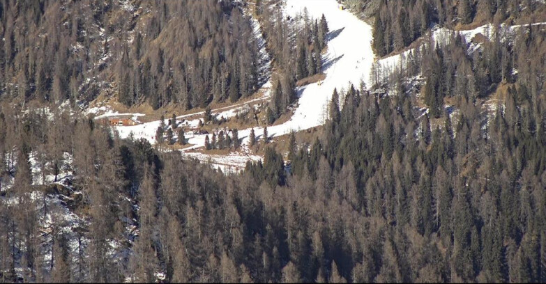 Webcam San Martino di Castrozza - Passo Rolle  - Ces - Malga Valcigolera