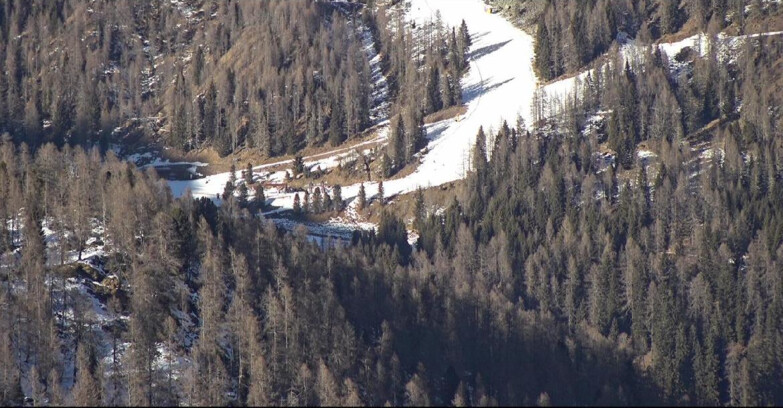 Webcam San Martino di Castrozza - Passo Rolle  - Ces - Malga Valcigolera