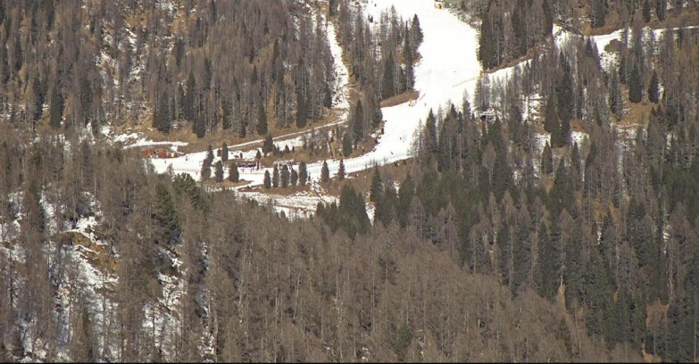 Webcam Сан-Мартино-ди-Кастроцца - Пассо-Ролле - Ces - Malga Valcigolera