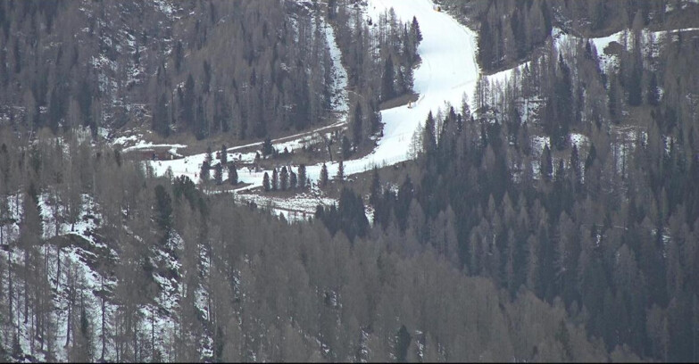 Webcam Сан-Мартино-ди-Кастроцца - Пассо-Ролле - Ces - Malga Valcigolera