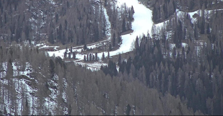 Webcam Сан-Мартино-ди-Кастроцца - Пассо-Ролле - Ces - Malga Valcigolera