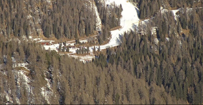 Webcam Сан-Мартино-ди-Кастроцца - Пассо-Ролле - Ces - Malga Valcigolera