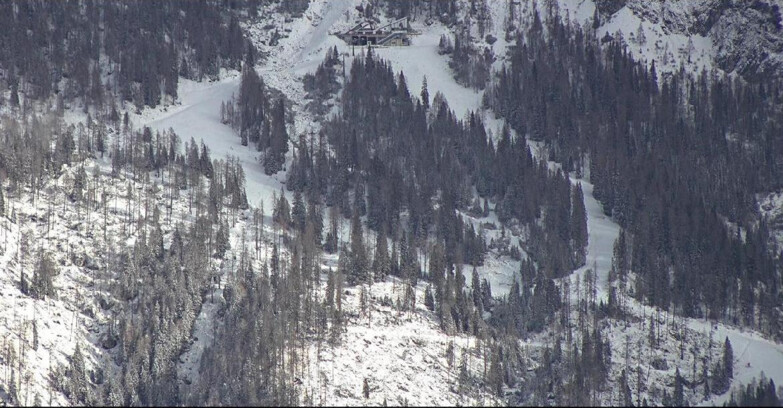 Webcam Сан-Мартино-ди-Кастроцца - Пассо-Ролле - Ski Area Col Verde