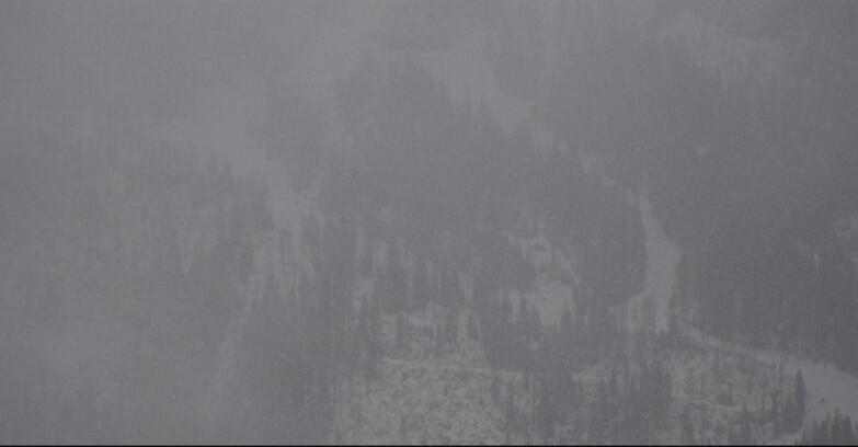 Webcam San Martino di Castrozza - Passo Rolle - Ski Area Col Verde