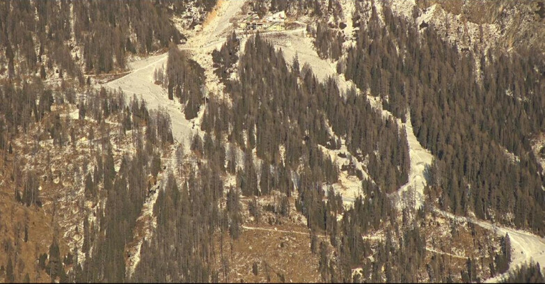 Webcam San Martino di Castrozza - Passo Rolle - Ski Area Col Verde