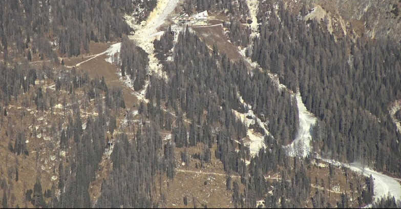 Webcam San Martino di Castrozza - Passo Rolle - Ski Area Col Verde