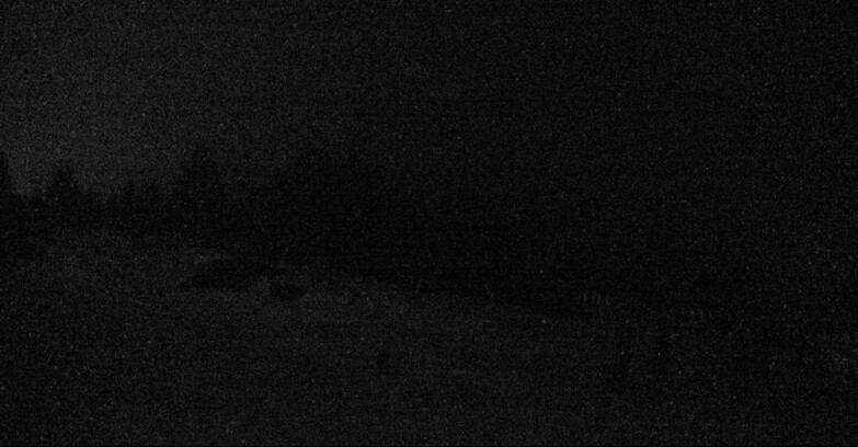 Webcam San Martino di Castrozza - Passo Rolle - Passo Rolle - Le Pale