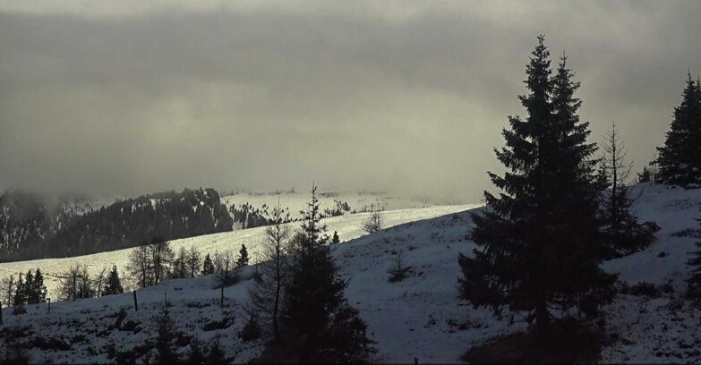 Webcam San Martino di Castrozza - Passo Rolle - Passo Rolle - Bocche