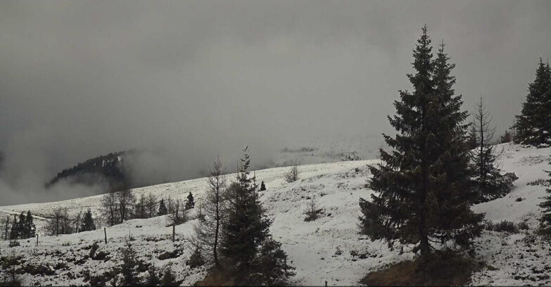 Webcam San Martino di Castrozza - Passo Rolle - Passo Rolle - Bocche