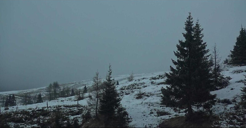 Webcam San Martino di Castrozza - Passo Rolle - Passo Rolle - Bocche