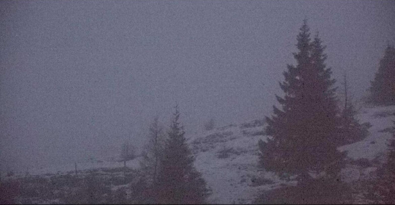 Webcam San Martino di Castrozza - Passo Rolle - Passo Rolle - Bocche