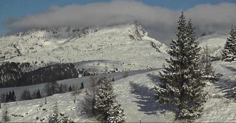 Webcam Сан-Мартино-ди-Кастроцца - Пассо-Ролле - Passo Rolle - Bocche